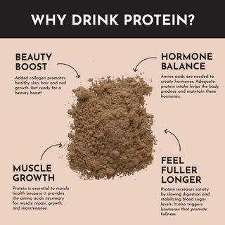Roasted Peanut Butter Chocolate Protein Powder Stick - By Baano