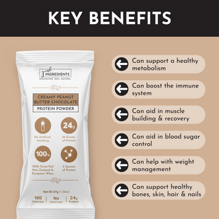 Creamy Peanut Butter Chocolate Protein Powder Stick - By Baano
