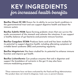 Elderberry Lemonade 3-In-1 Probiotic Complex - By Baano