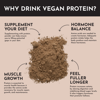 Vegan Chocolate Protein Powder - By Baano