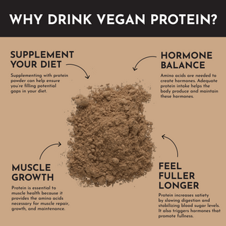 Vegan Peanut Butter Chocolate Protein Powder - By Baano