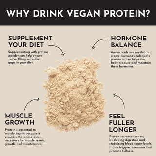 Vegan Vanilla Bean Protein Powder - By Baano