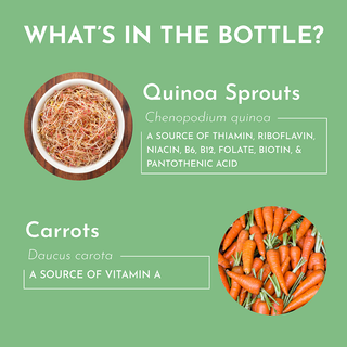 Multivitamin Supplement - By Baano