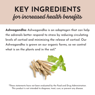 Ashwagandha Capsule - By Baano