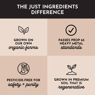 Ashwagandha Capsule - By Baano