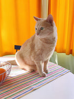 Valentina Rainbow Runner