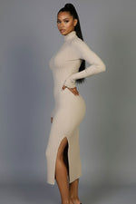 Sweater-Knit Fuzzy Turtle Neck Split Thigh Dress (CAPELLA)