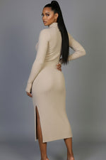 Sweater-Knit Fuzzy Turtle Neck Split Thigh Dress (CAPELLA)