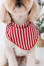 Red Stripes | DOG BANDANNA - By Baano