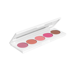 Signature Palette - Blush