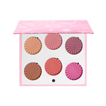 Mini Mix Face Palette - Blushful