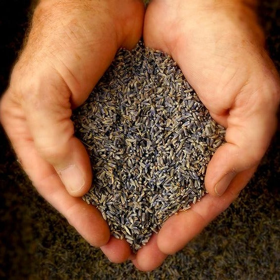 Lavender Buds by the pound - By Baano