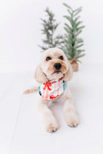 Bows | DOG BANDANNA - By Baano