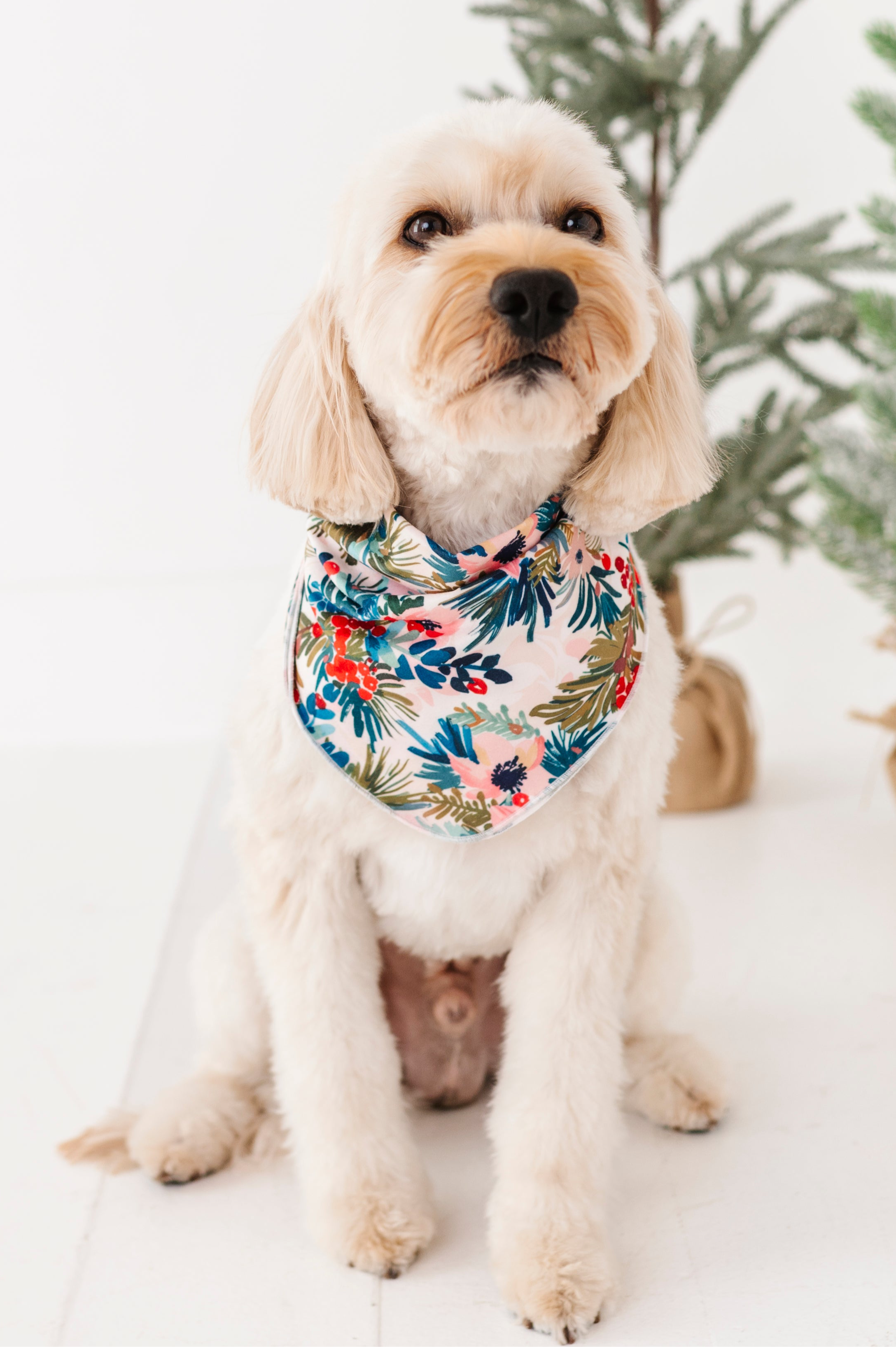 Holly Floral | DOG BANDANNA - By Baano