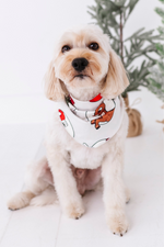 Classic Characters | DOG BANDANNA - By Baano