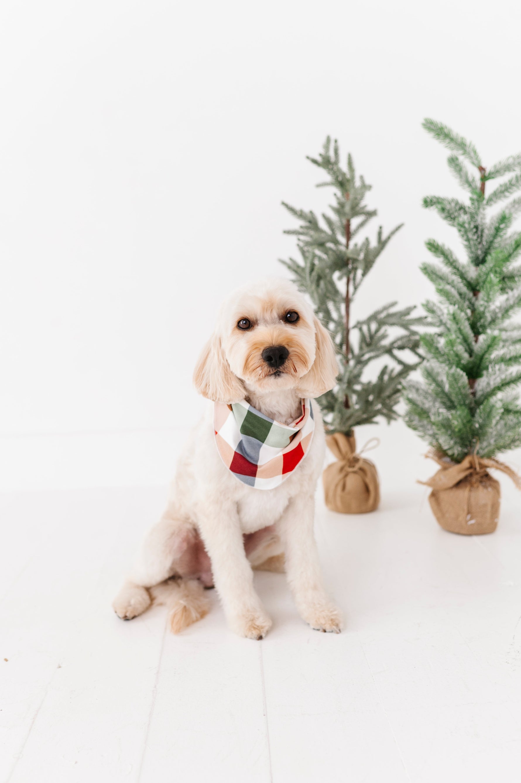 Holiday Plaid | DOG BANDANNA - By Baano