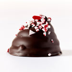 Chocolate Peppermint Dulce de Leche Truffles Gift Box