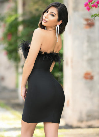 Size Small, Sochi Mini Dress - Black Feather - FINAL SALE - By Baano