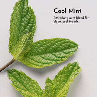 Remineralizing Tooth Powder (Mint) - By Baano