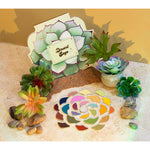 Desert Sage | 25-Shade Palette