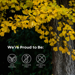 ENERGY: Ginseng + Ginkgo Supplement for Fatigue - By Baano