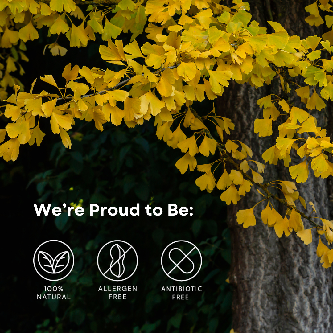 ENERGY: Ginseng + Ginkgo Supplement for Fatigue - By Baano