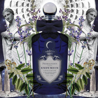 Endymion Concentre By Penhaligon's For Unisex 3.4oz EDP Spray