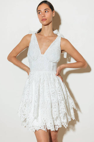 SWEETHEART GINGHAM WOVEN LACE MINI DRESS - By Baano