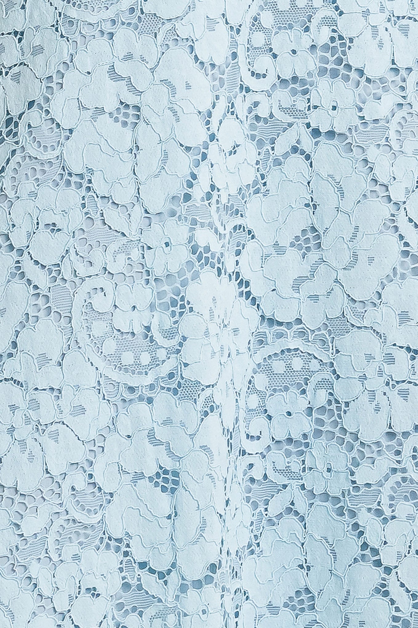 PURELY ROMANTIC WOVEN LACE MIDI SKIRT