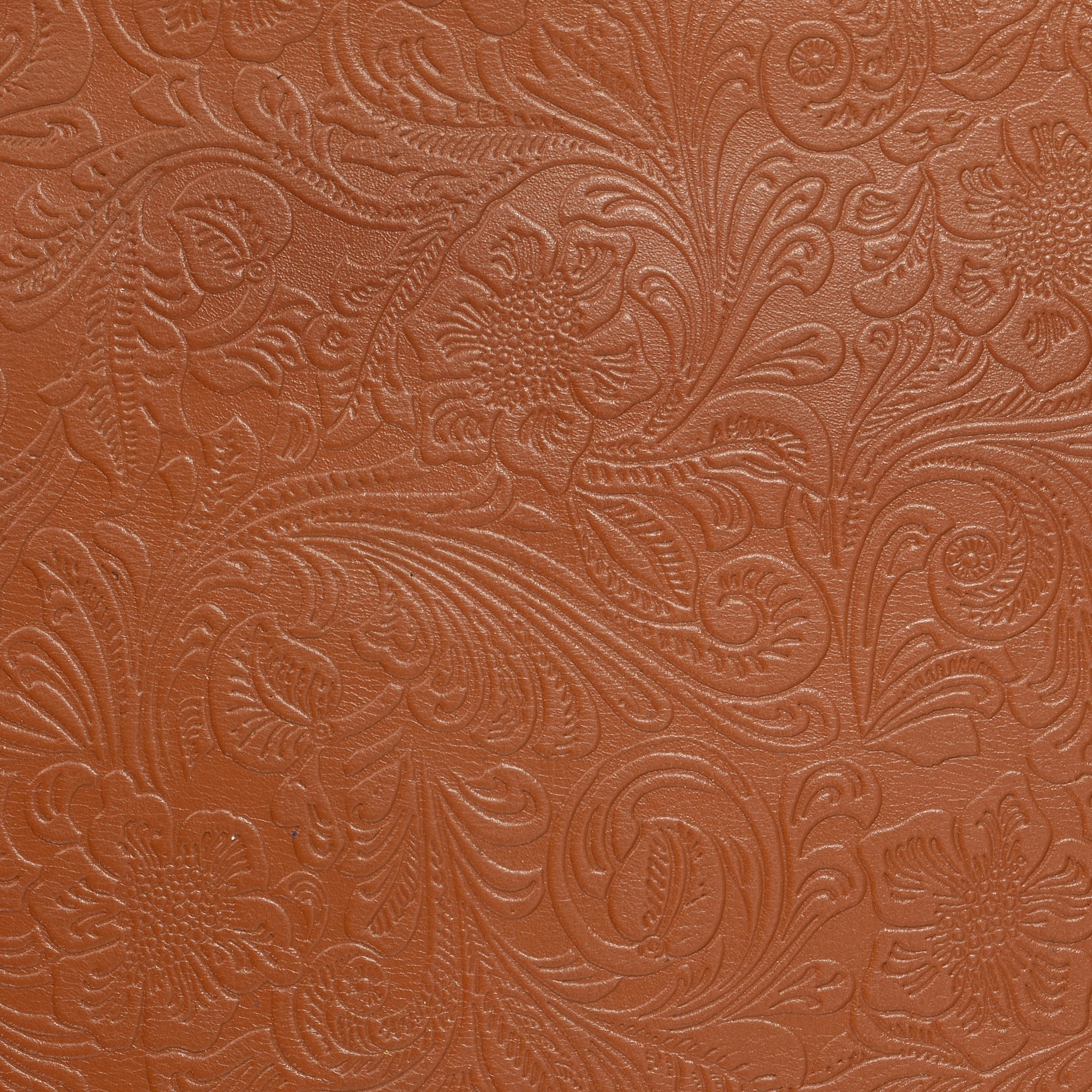 Texte alternatif par défaut