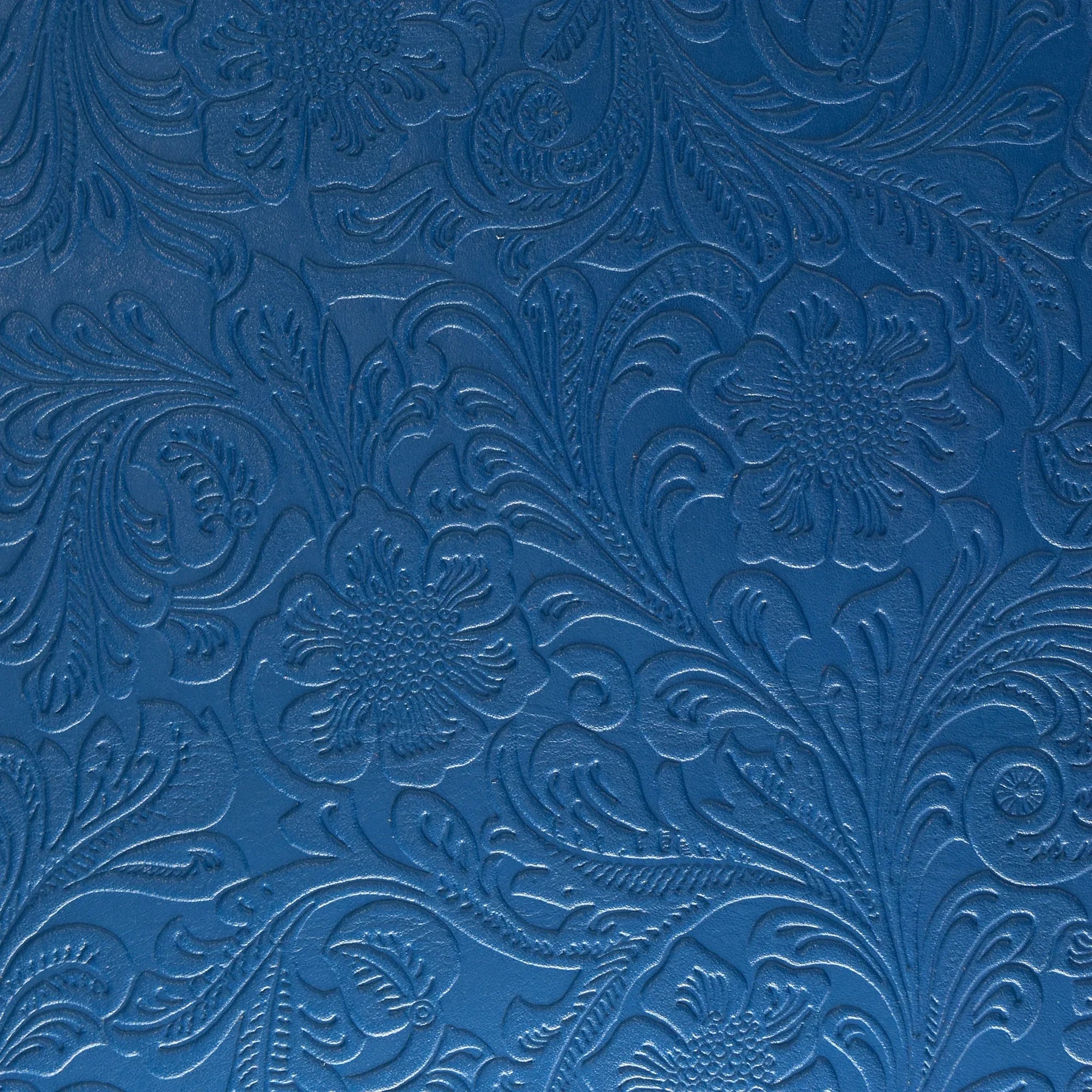 Texte alternatif par défaut