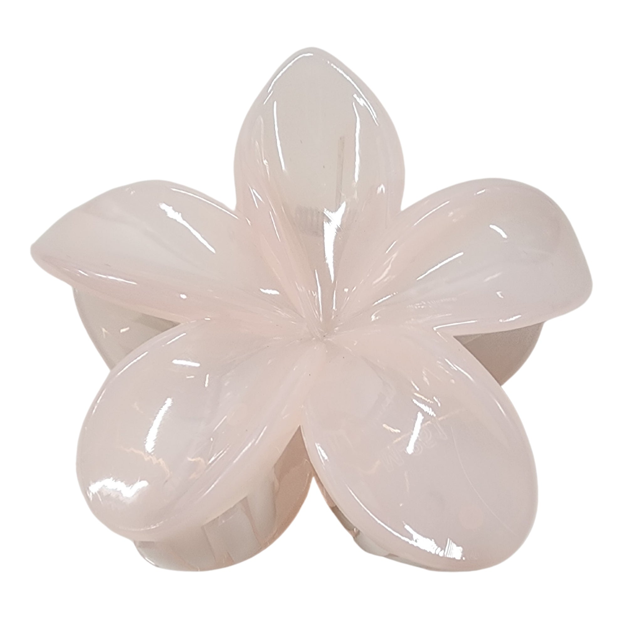 Texte alternatif par défaut