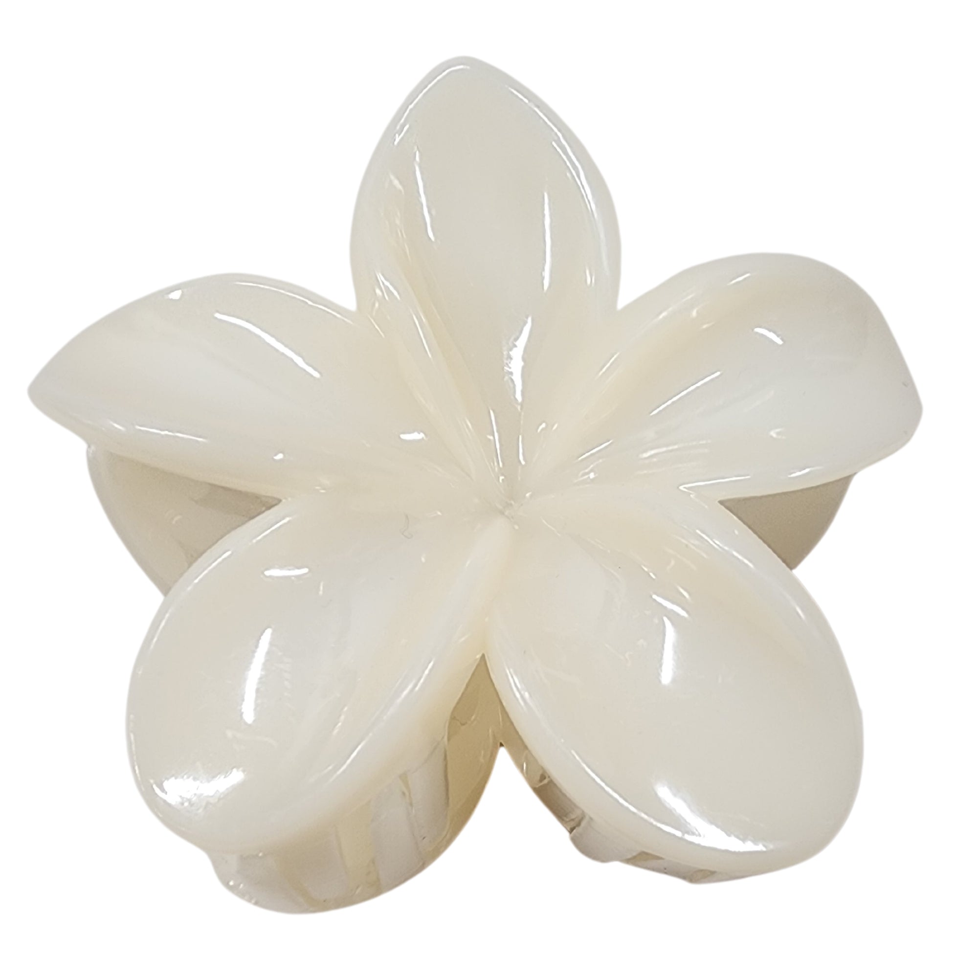 Texte alternatif par défaut