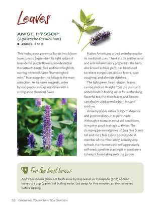 Growing Your Own Tea Garden: The Guide to Growing and Harvesting Flavorful Teas in Your Backyard (CompanionHouse Books) Create Your Own Blends to Manage Stress, Boost Immunity, Soothe Headaches & More (Spiral Bound) - By Baano