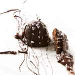 Mother's Day Gift Box