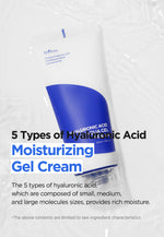 Isntree Hyaluronic Acid Aqua Gel Cream