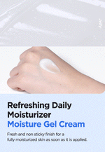 Isntree Hyaluronic Acid Aqua Gel Cream