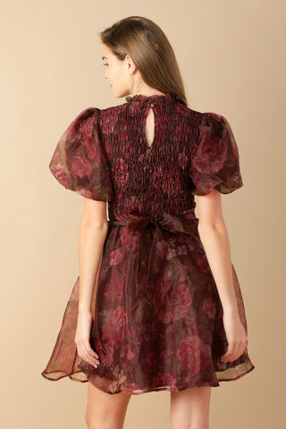 FLITTERING DREAMS WOVEN ORGANZA MINI DRESS - By Baano