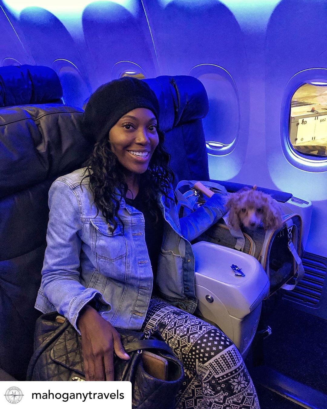 Mr. Peanut's Platinum Series Expandable Pet Carrier Mr. Peanut's Pet Carriers