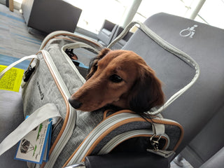 Mr. Peanut's Platinum Series Double Expandable Pet Carrier