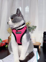 Mr. Peanut's PurrTrek Reflective Cat Harness with Matching Leash - By Baano