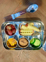 Stainless Steel Snack Box Bundle for On-The-Go Snacking