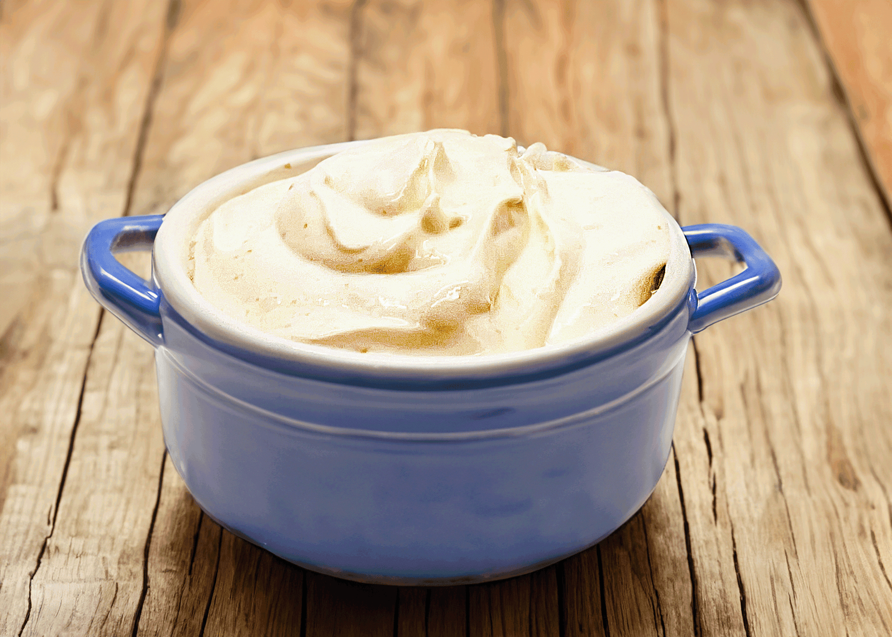 Caramelized Onion Roasted Garlic Dip Mix - By Baano