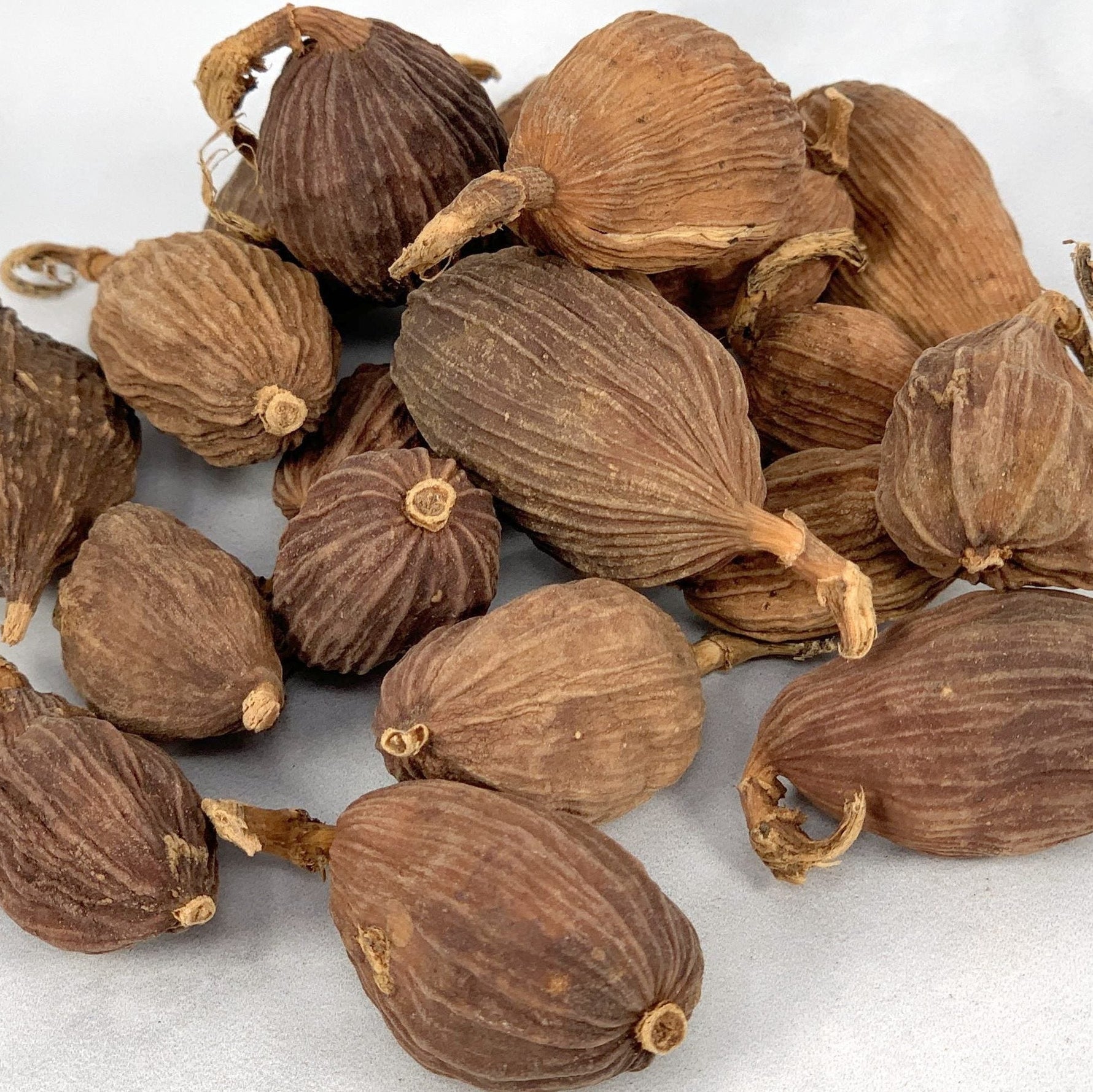 Red Cardamom, Whole (Cao Guo) - By Baano