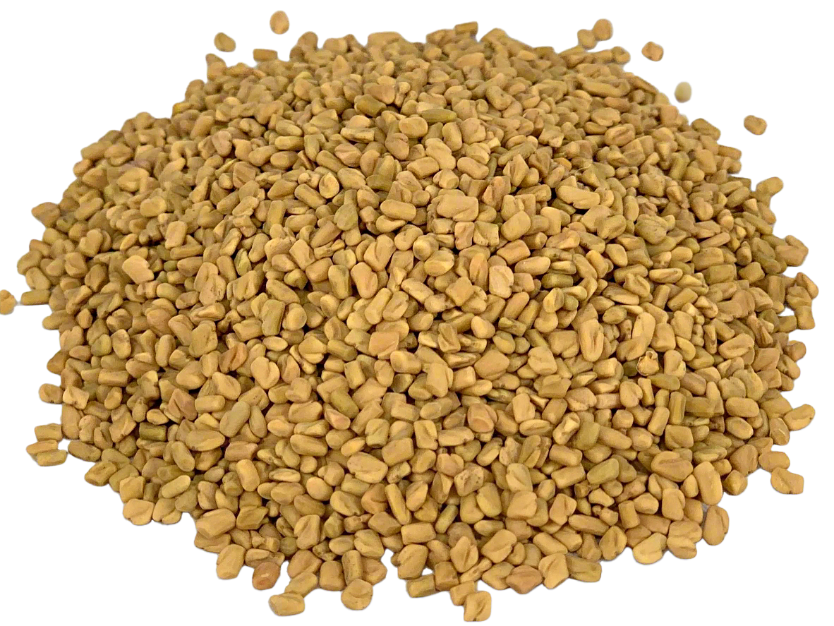 Fenugreek Seed, Whole - By Baano