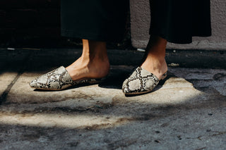 Lennox | Snake