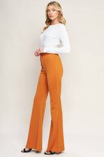 DEPTHS OF BEAUTY FLARE PANTS - By Baano