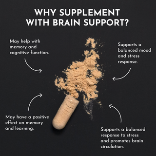Brain Support - By Baano