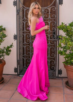 Sochi Gown - Hot Pink Feather Trim Dress
