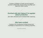 ANUA Heartleaf Quercetinol Pore Deep Cleansing Foam